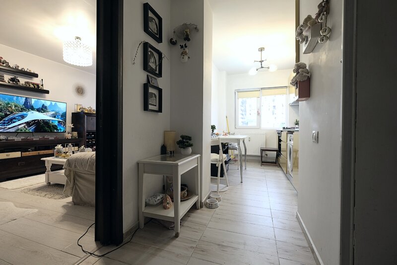 Lacul Tei (stradal), apartament exceptional 2 camere, etaj 3.