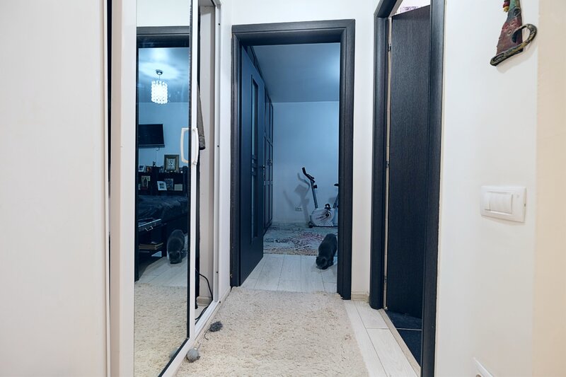 Lacul Tei (stradal), apartament exceptional 2 camere, etaj 3.
